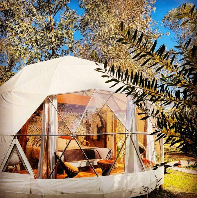 Magia Ecolodges, Glamping Punta Colorada מראה חיצוני תמונה