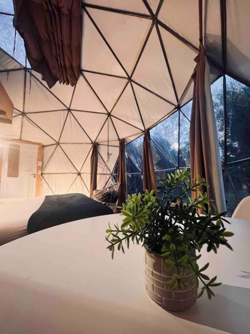 Magia Ecolodges, Glamping Punta Colorada מראה חיצוני תמונה