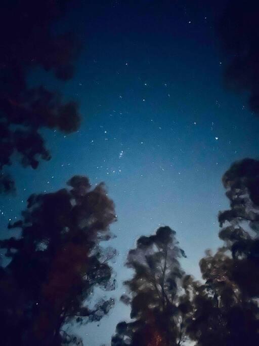 Magia Ecolodges, Glamping Punta Colorada מראה חיצוני תמונה